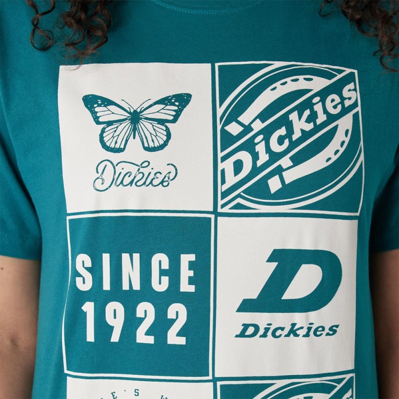 Blue Women's Dickies Graphic Band T-Shirt | GAO538129