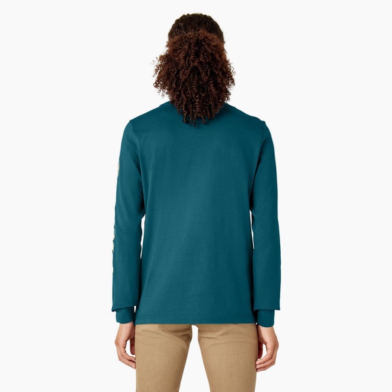 Blue Women's Dickies Long Sleeve Heavyweight Graphic T-Shirt | ORE874130