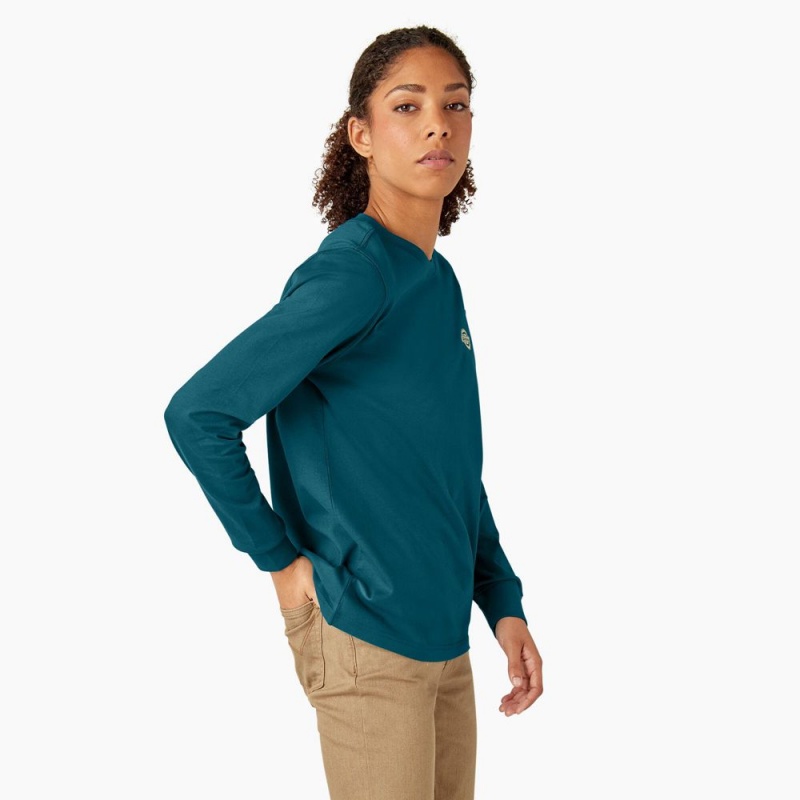 Blue Women's Dickies Long Sleeve Heavyweight Graphic T-Shirt | ORE874130