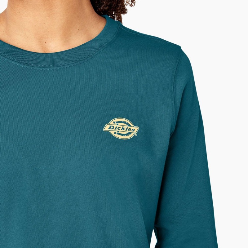 Blue Women's Dickies Long Sleeve Heavyweight Graphic T-Shirt | ORE874130