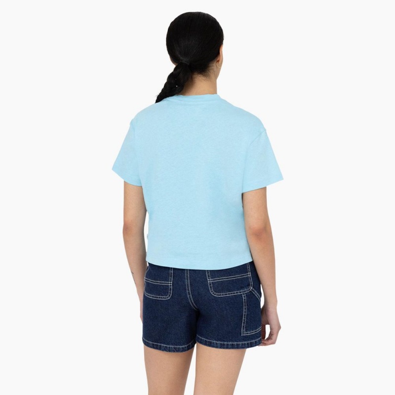 Blue Women's Dickies Oakport Cropped T-Shirt | CZD629184