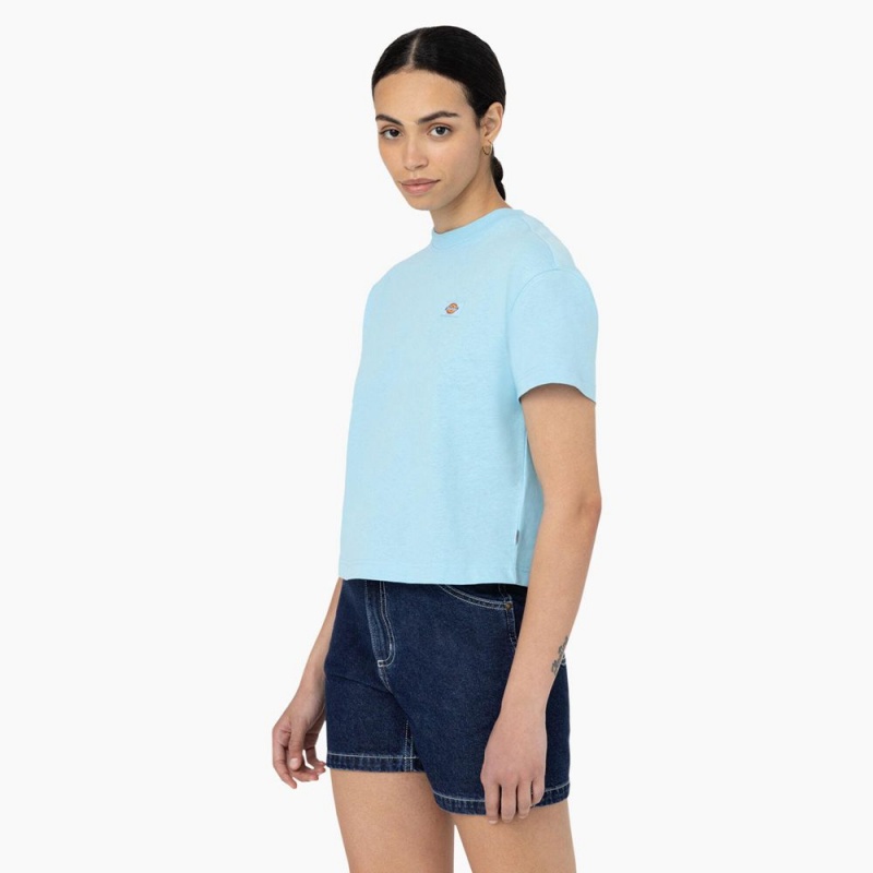 Blue Women's Dickies Oakport Cropped T-Shirt | CZD629184