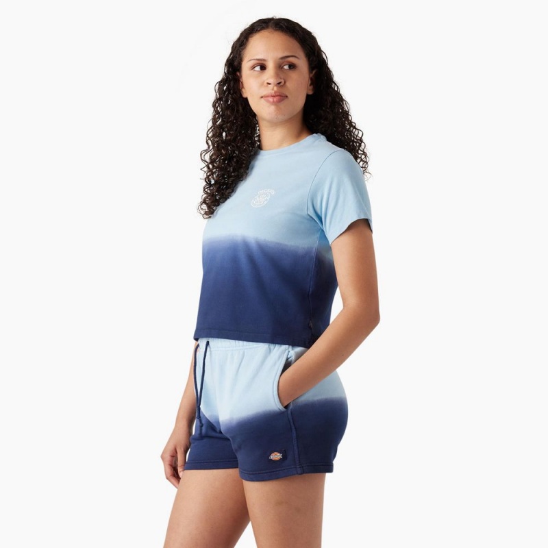 Blue Women's Dickies Ombre Cropped T-Shirt | DAF894731