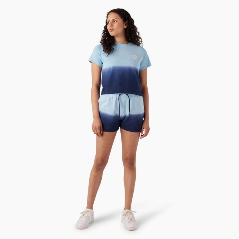 Blue Women's Dickies Ombre Cropped T-Shirt | DAF894731