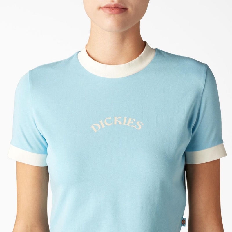 Blue Women's Dickies Warm Springs T-Shirt | NZT251349