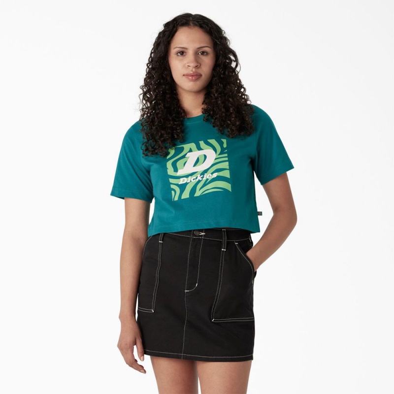 Blue Women\'s Dickies Zebra Graphic Cropped T-Shirt | JSI805496