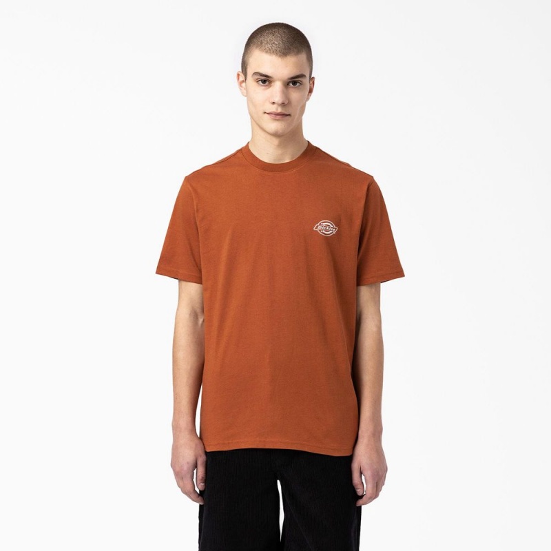 Brown Men's Dickies Back Logo Graphic T-Shirt | MDR963042