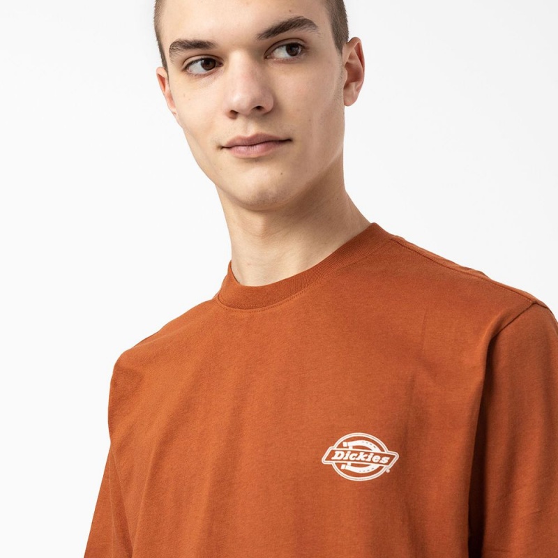 Brown Men's Dickies Back Logo Graphic T-Shirt | MDR963042