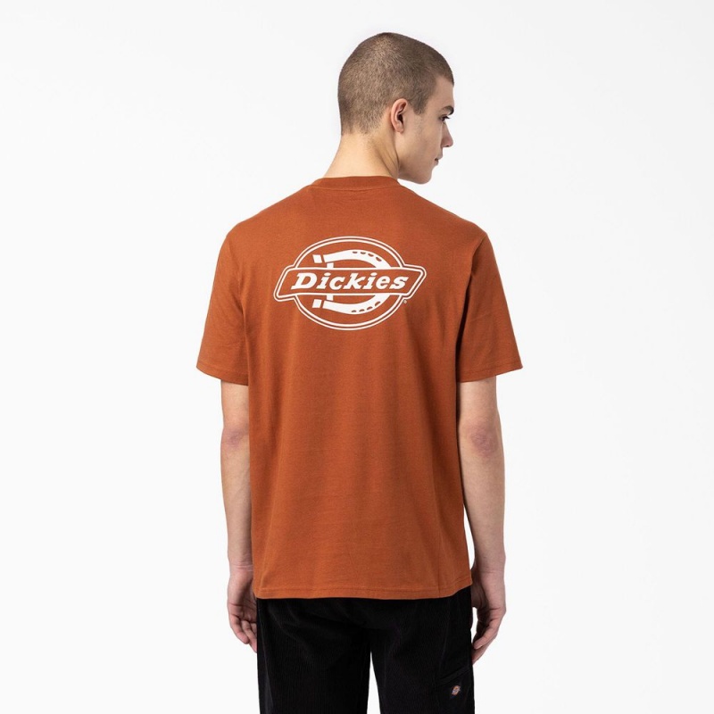 Brown Men\'s Dickies Back Logo Graphic T-Shirt | MDR963042