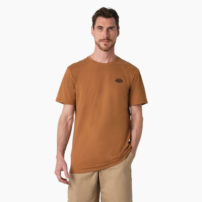 Brown Men's Dickies Cooling Performance Graphic T-Shirt | ZMQ340672