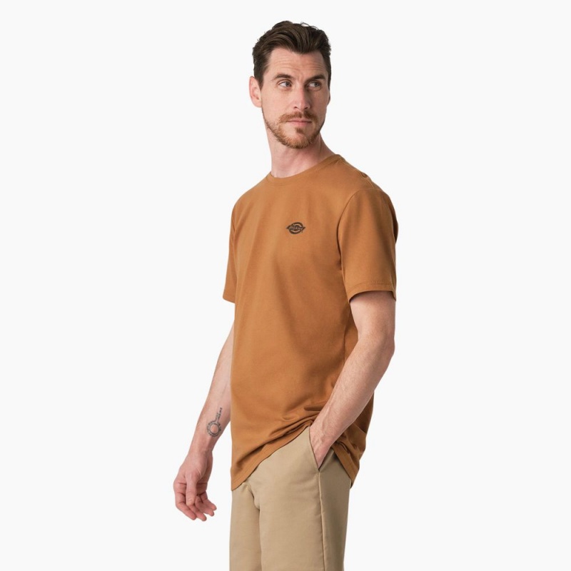 Brown Men's Dickies Cooling Performance Graphic T-Shirt | ZMQ340672