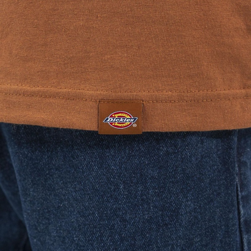 Brown Men's Dickies Long Sleeve Henley T-Shirt | SFA603782