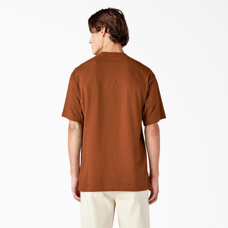 Brown Men's Dickies Paxico Graphic T-Shirt | WLD259807