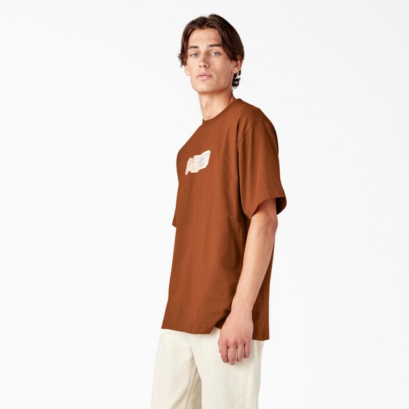 Brown Men's Dickies Paxico Graphic T-Shirt | WLD259807