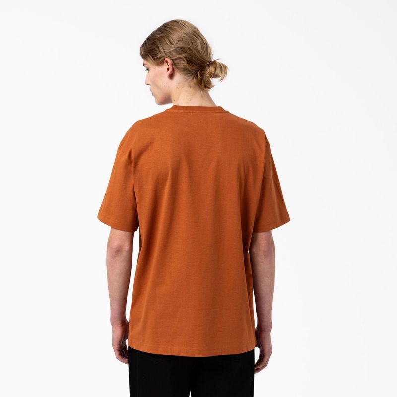 Brown Men's Dickies Union Springs Short Sleeve T-Shirt | LBO708925