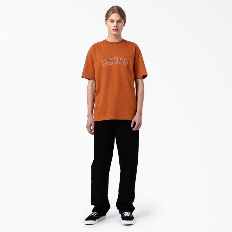 Brown Men's Dickies Union Springs Short Sleeve T-Shirt | LBO708925