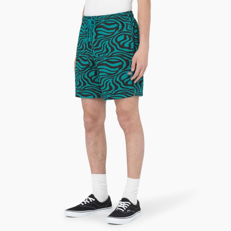 Green Men's Dickies Zebra Print Modern Fit Drawstring Shorts | KUL615849