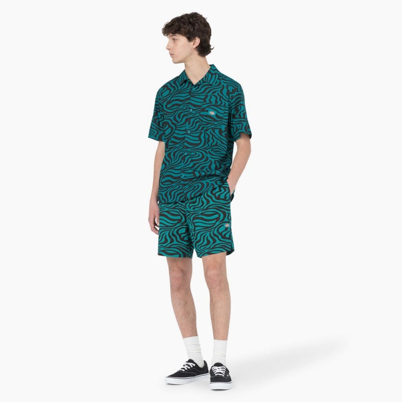 Green Men's Dickies Zebra Print Modern Fit Drawstring Shorts | KUL615849