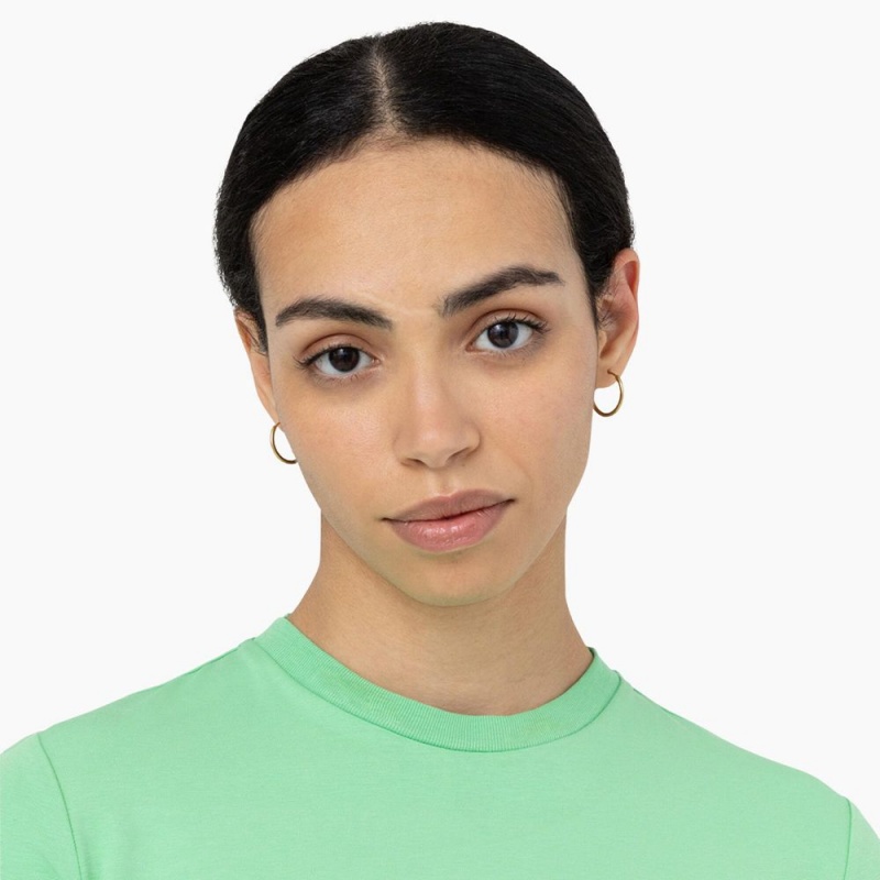 Green Women's Dickies Maple Valley Logo Cropped T-Shirt | ZTN592708