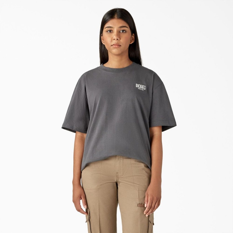 Grey Men's Dickies Built to Last Heavyweight T-Shirt | HZR345702