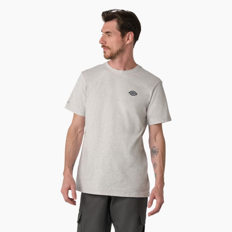 Grey Men's Dickies Cooling Performance Graphic T-Shirt | ROE260498