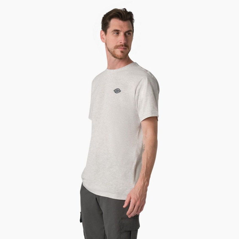 Grey Men's Dickies Cooling Performance Graphic T-Shirt | ROE260498