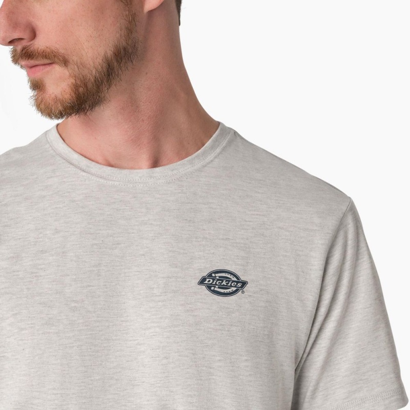 Grey Men's Dickies Cooling Performance Graphic T-Shirt | ROE260498