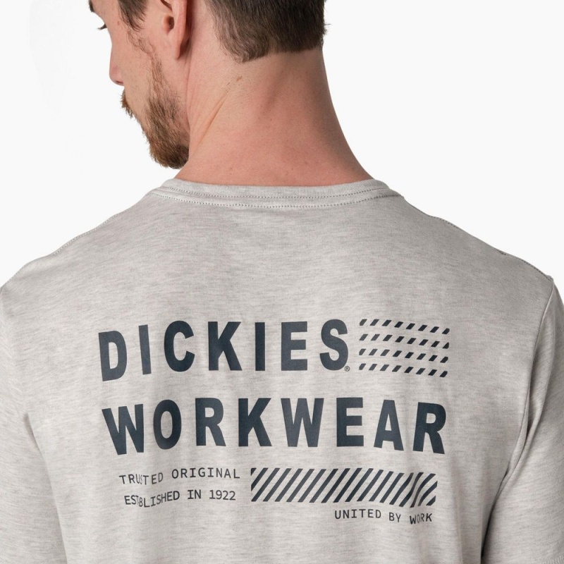 Grey Men's Dickies Cooling Performance Graphic T-Shirt | ROE260498