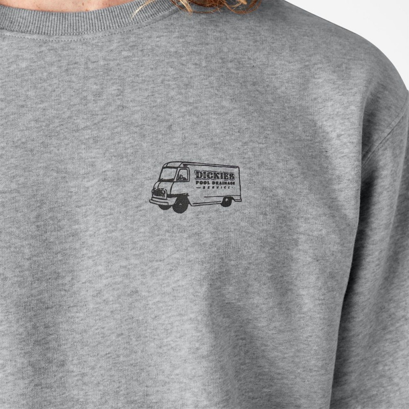 Grey Men's Dickies Skateboarding Pool Drainage Graphic Sweatshirt | GHY315268