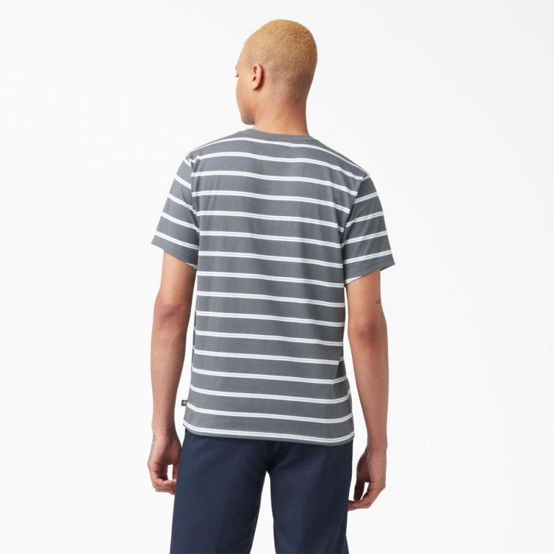 Grey Men's Dickies Skateboarding Striped T-Shirt | VBP048519