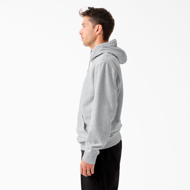 Grey Men's Dickies Tom Knox Graphic Hoodie | IJR436502