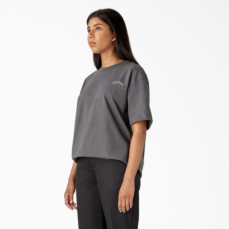 Grey Women's Dickies Eagle Barrel Heavyweight T-Shirt | KZU172439