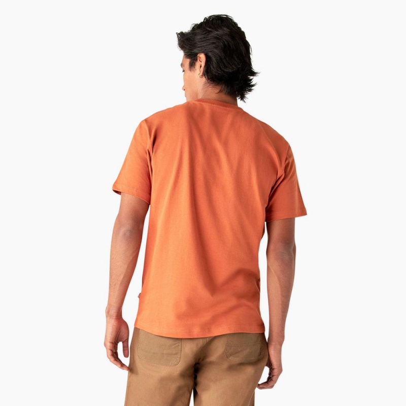 Orange Men's Dickies Summerdale Short Sleeve T-Shirt | VJI436987