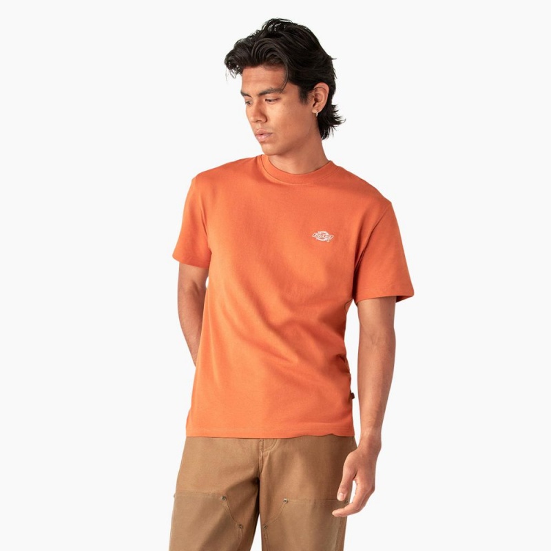 Orange Men\'s Dickies Summerdale Short Sleeve T-Shirt | VJI436987