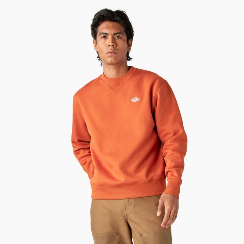 Orange Men\'s Dickies Summerdale Sweatshirt | QZI916835