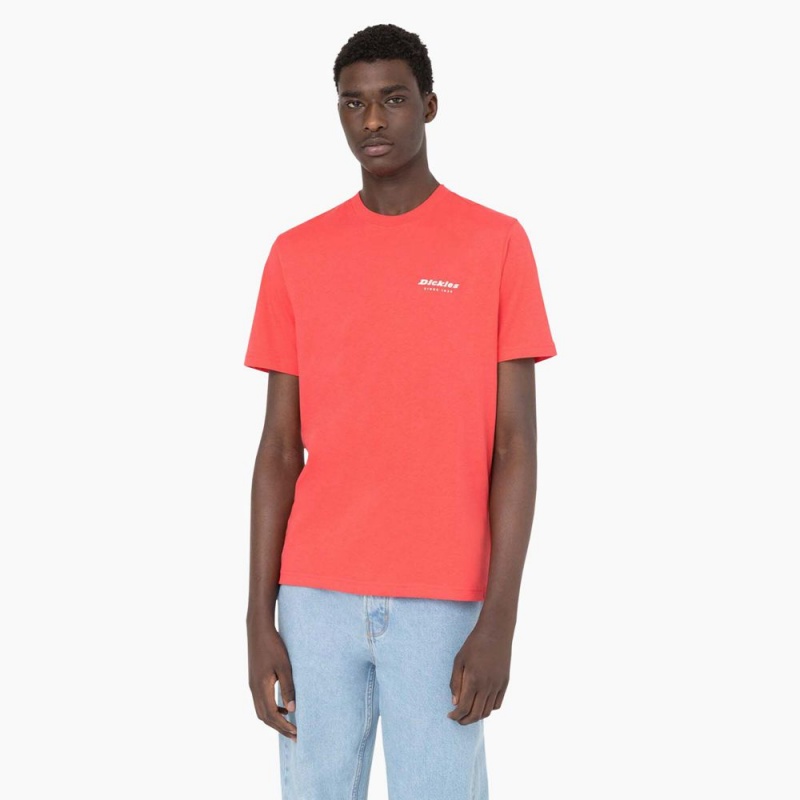 Pink Men's Dickies Leesburg Short Sleeve T-Shirt | CVP091647