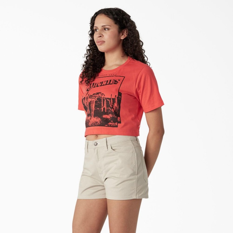 Pink Women's Dickies Desert Graphic Cropped T-Shirt | LDW654802