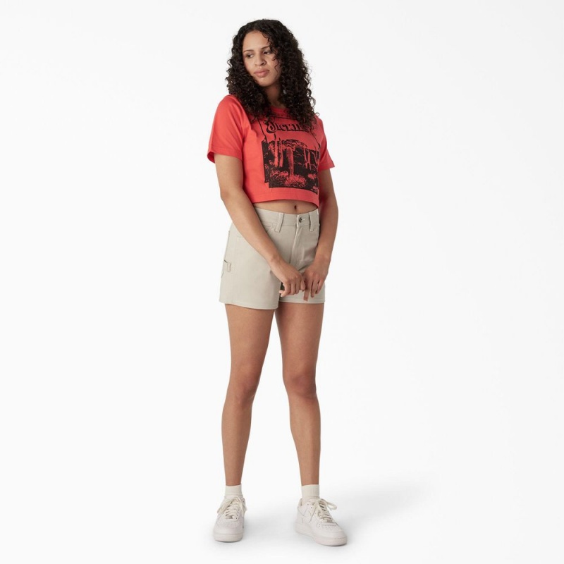 Pink Women's Dickies Desert Graphic Cropped T-Shirt | LDW654802