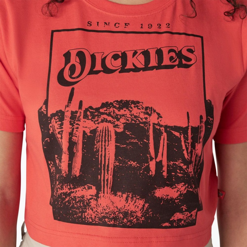 Pink Women's Dickies Desert Graphic Cropped T-Shirt | LDW654802