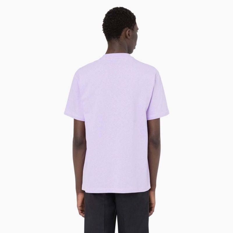 Purple Men's Dickies Beavertown Short Sleeve T-Shirt | LSG604178