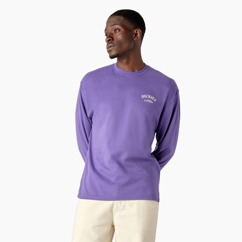 Purple Men's Dickies Garden Plain Graphic Long Sleeve T-Shirt | TXU945872