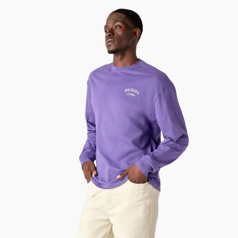 Purple Men's Dickies Garden Plain Graphic Long Sleeve T-Shirt | TXU945872