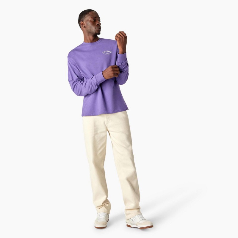 Purple Men's Dickies Garden Plain Graphic Long Sleeve T-Shirt | TXU945872