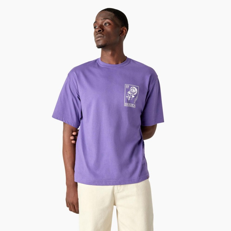 Purple Men's Dickies Garden Plain Graphic T-Shirt | GQC573128