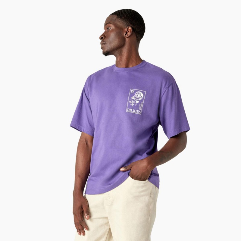 Purple Men's Dickies Garden Plain Graphic T-Shirt | GQC573128