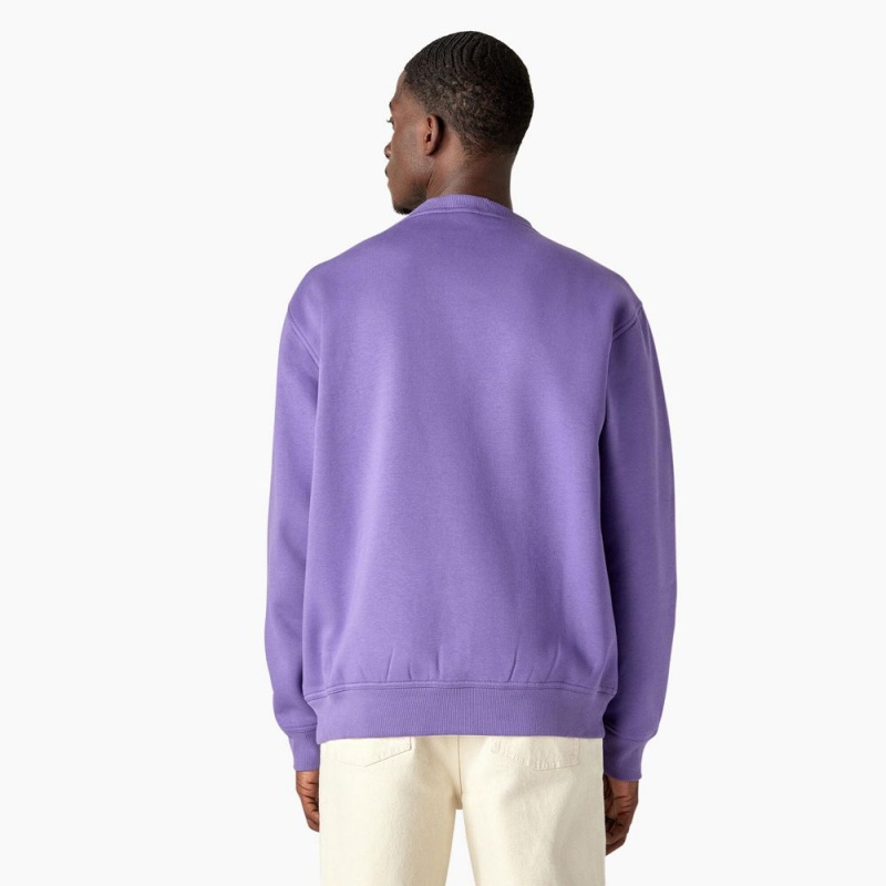 Purple Men's Dickies Garden Plain Graphic Sweatshirt | YHM425907