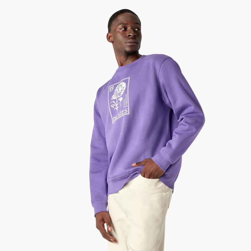 Purple Men's Dickies Garden Plain Graphic Sweatshirt | YHM425907