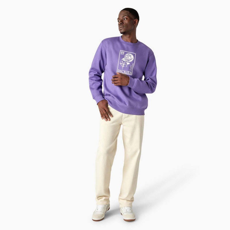 Purple Men's Dickies Garden Plain Graphic Sweatshirt | YHM425907