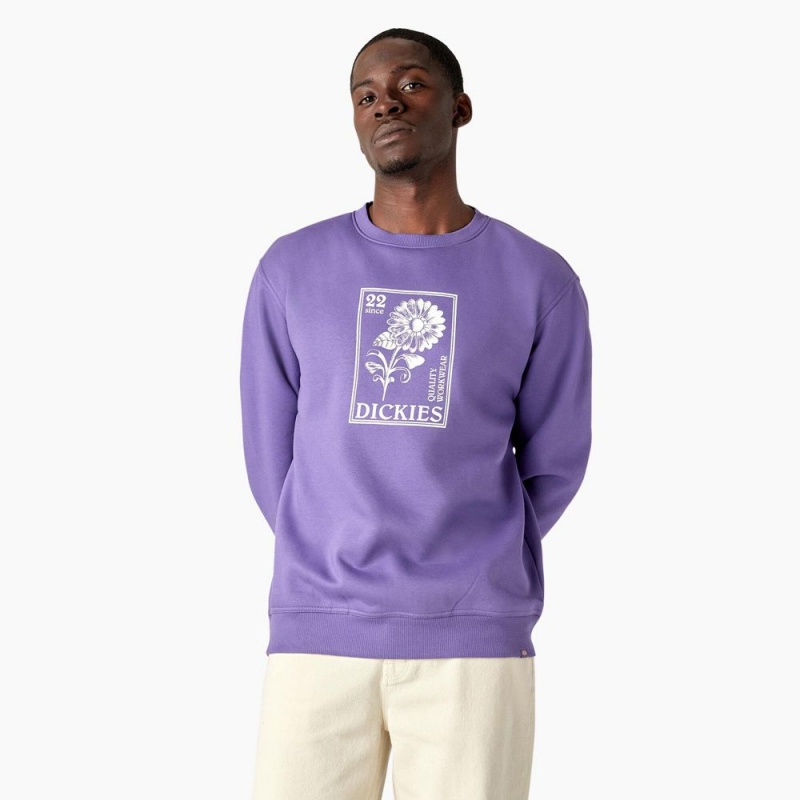 Purple Men\'s Dickies Garden Plain Graphic Sweatshirt | YHM425907