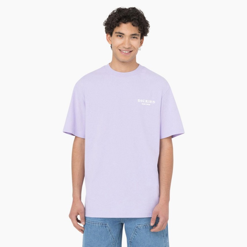 Purple Men's Dickies Oatfield Short Sleeve T-Shirt | AOW852347